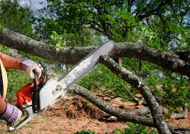 Best Firewood Processing and Delivery  in Luther, OK